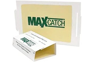 Catchmaster 72MAX Pest Trap, 36Count, White